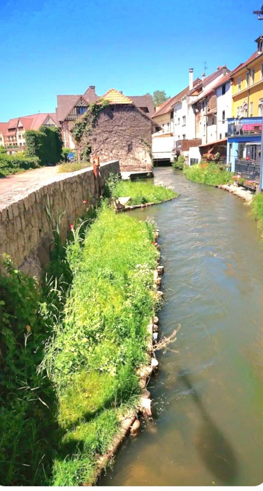 L'Atypique Des Remparts Villa Ensisheim Kültér fotó